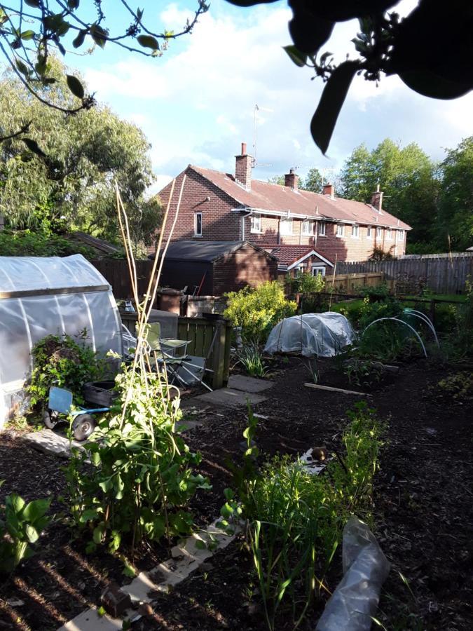 Waveney Villa Belfast Eksteriør bilde