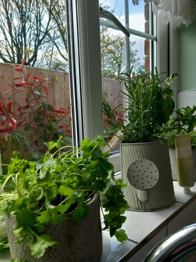 Waveney Villa Belfast Eksteriør bilde