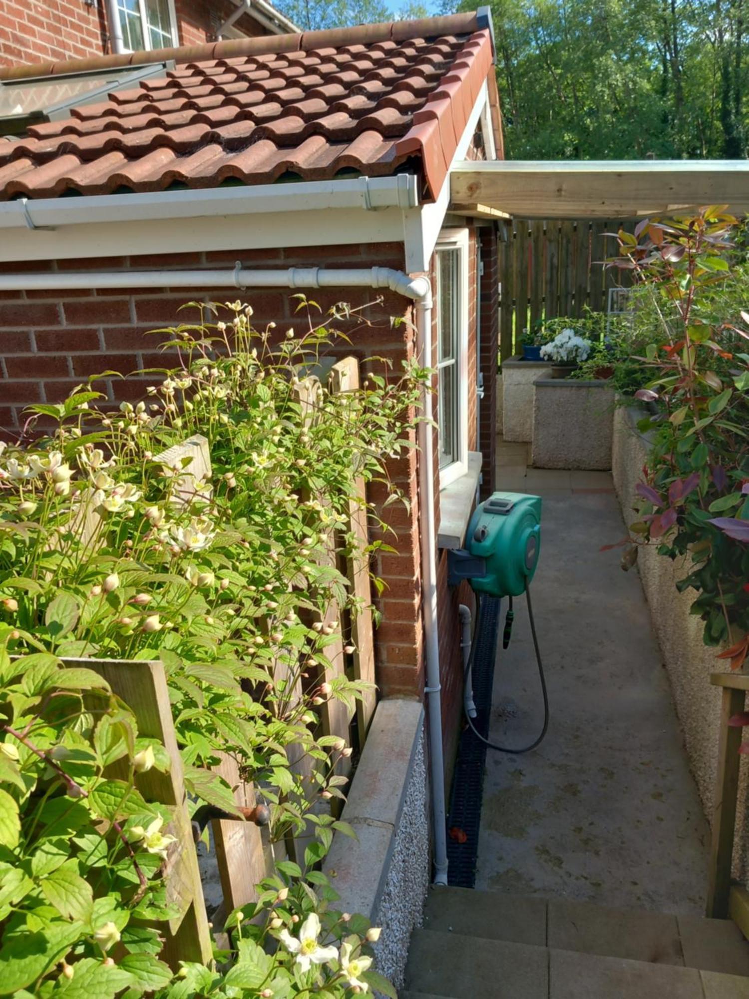 Waveney Villa Belfast Eksteriør bilde
